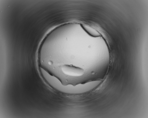 X0000094931048200712271549