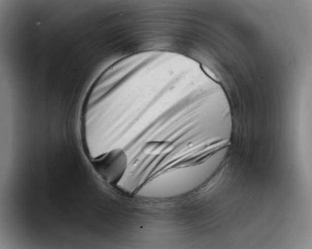 X0000094931050200712271549