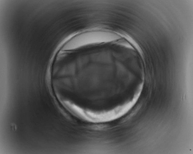 X0000094931053200712271549