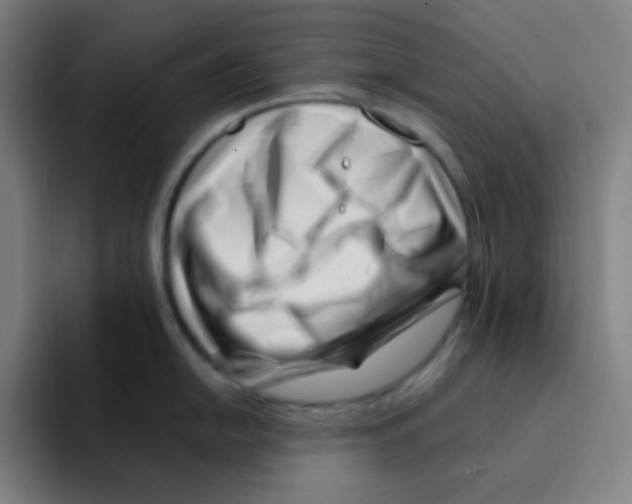 X0000094931054200712271549