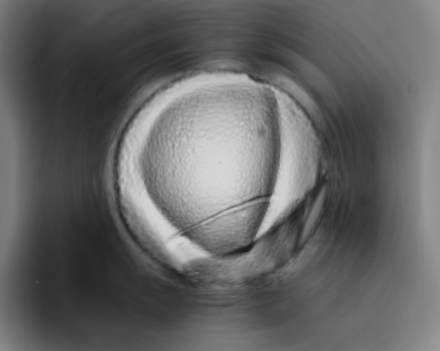 X0000094931055200712271549