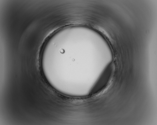 X0000094931071200712271548