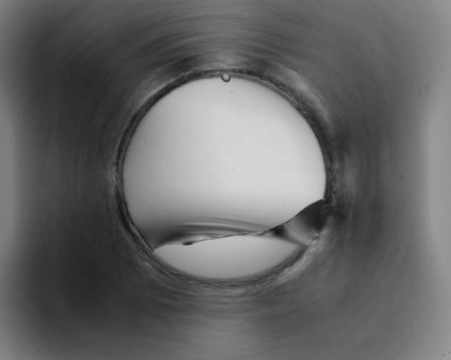 X0000094931073200712271548