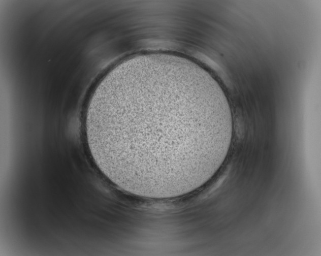 X0000094931074200712271548