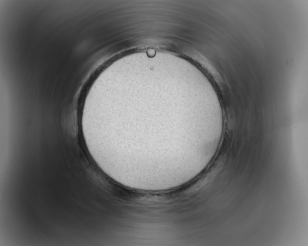 X0000094931075200712271548
