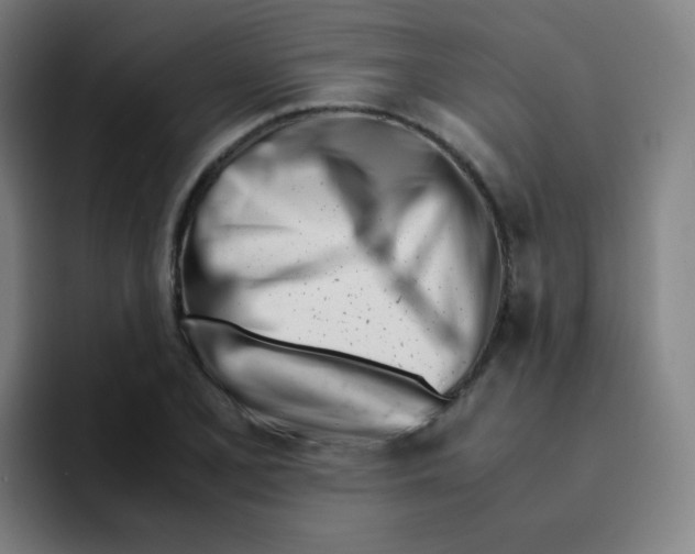 X0000094931077200712271548