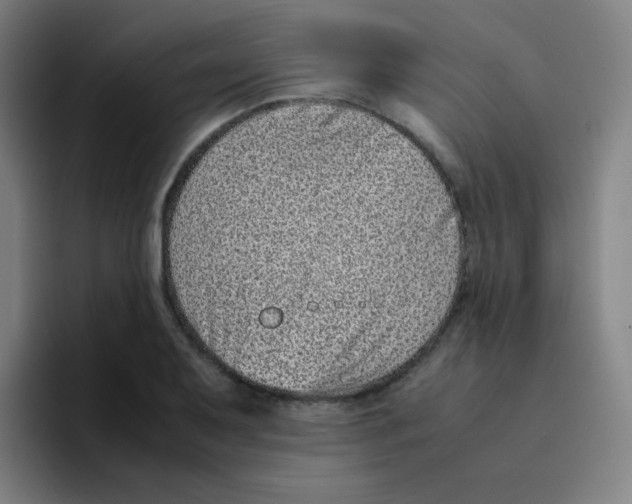 X0000094931079200712271548