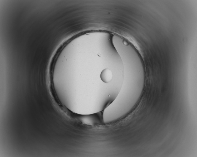 X0000094931080200712271548