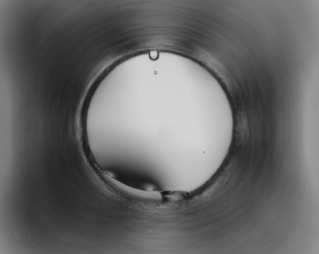 X0000094931082200712271548