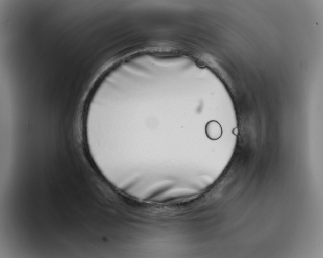 X0000094931083200712271548