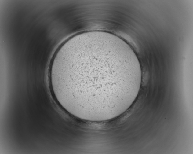 X0000094931086200712271548