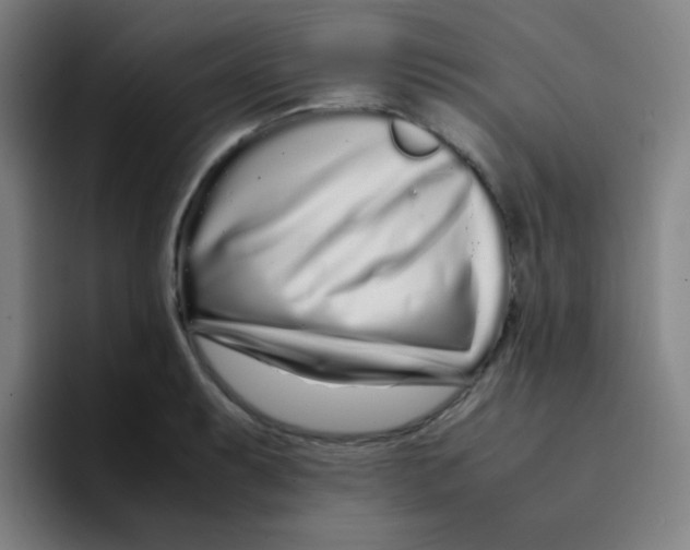 X0000094931087200712271548