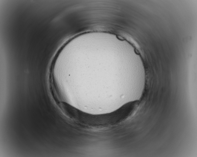 X0000094931091200712271548