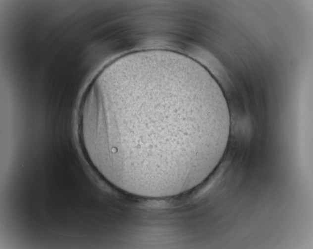 X0000094931094200712271548