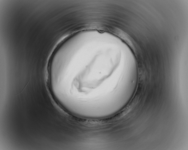 X0000094931095200712271548