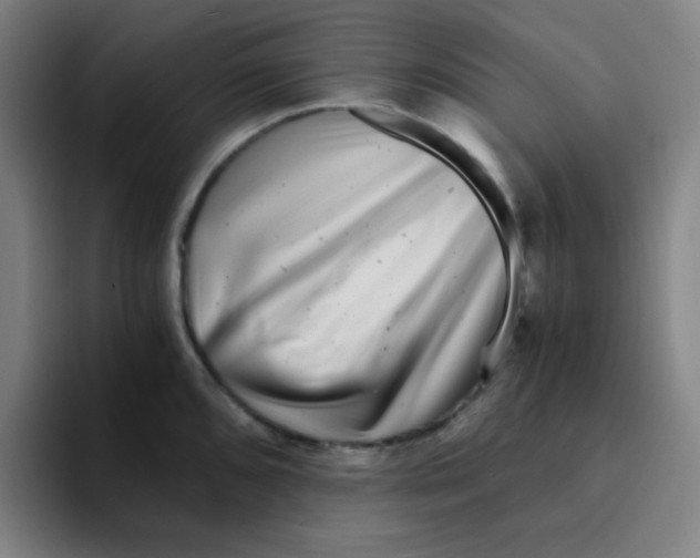 X0000094931096200712271548