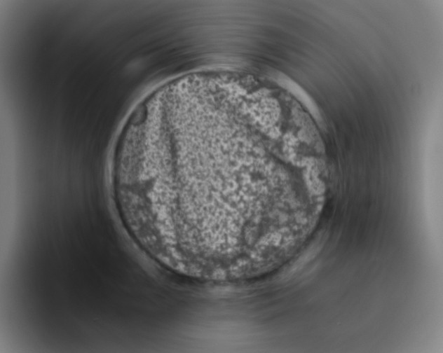 X0000094931099200712271548