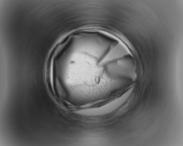 X0000094931101200712271548