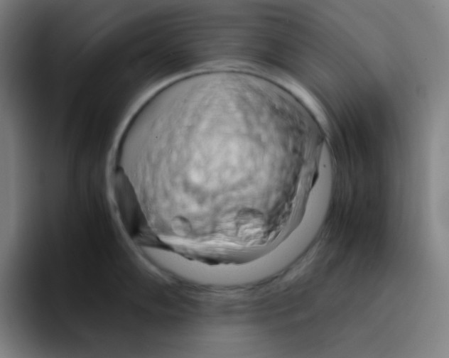 X0000094931102200712271548