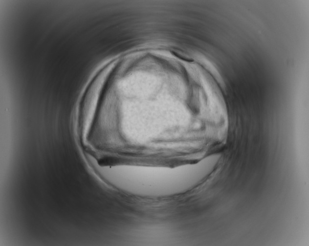 X0000094931103200712271548