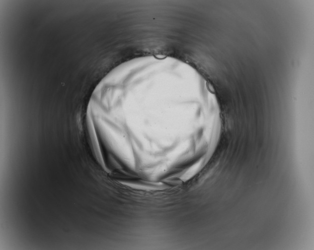 X0000094931106200712271547