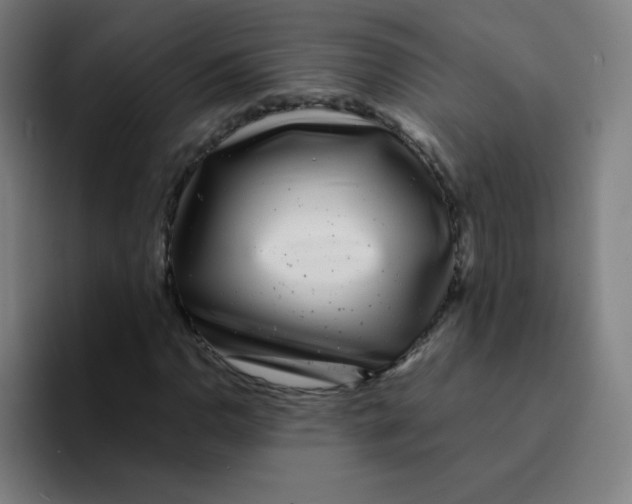X0000094931110200712271547