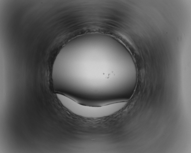 X0000094931111200712271547