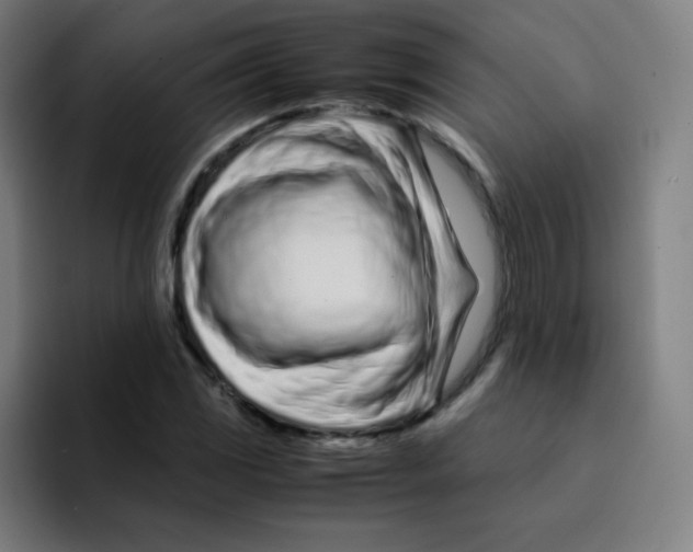 X0000094931117200712271547
