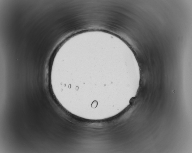 X0000094931126200712271547