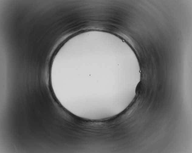 X0000094931131200712271547