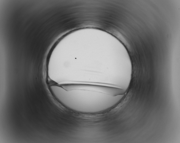 X0000094931132200712271547
