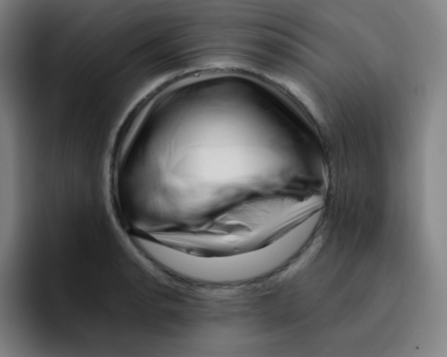 X0000094931134200712271547