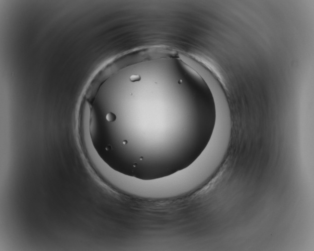 X0000094931135200712271547