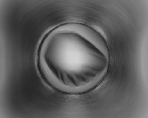 X0000094931136200712271547