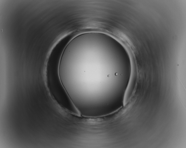 X0000094931138200712271547