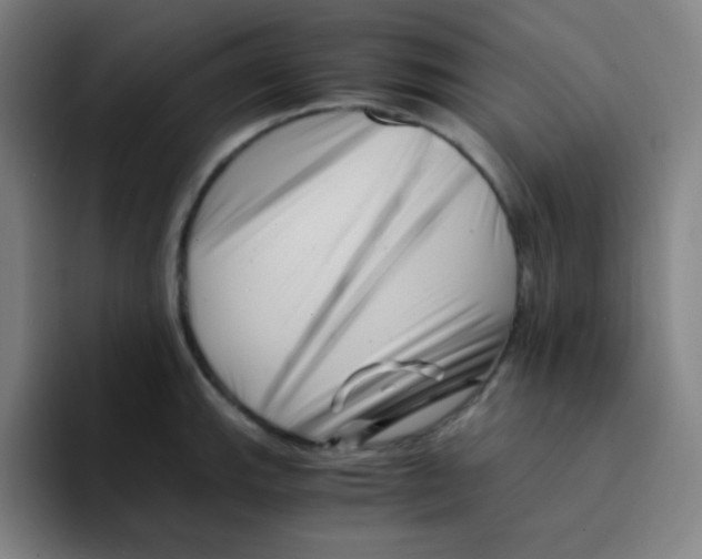 X0000094931143200712271547