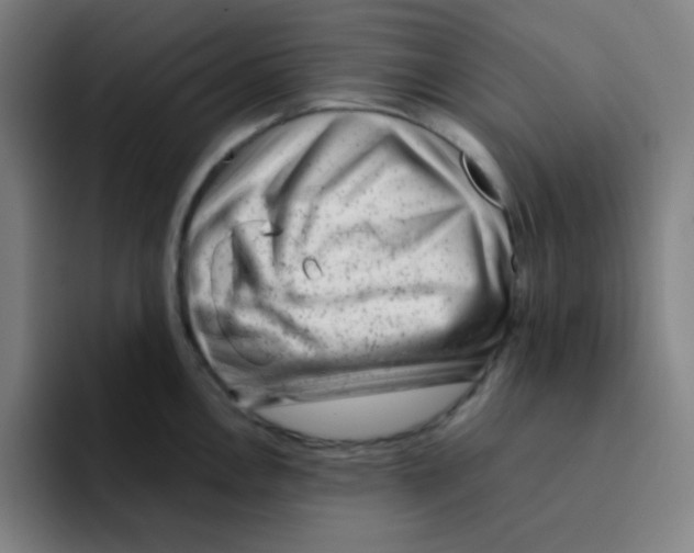 X0000094931146200712271547