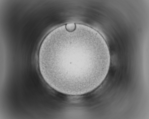 X0000094931150200712271547