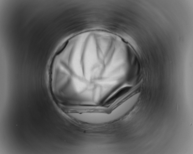 X0000094931151200712271547