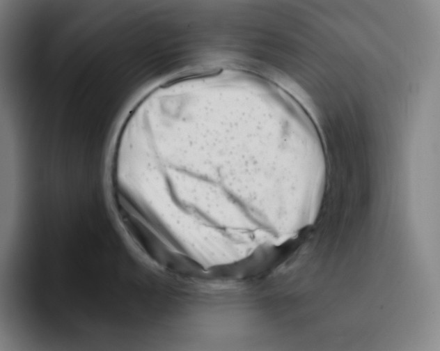 X0000094931152200712271548