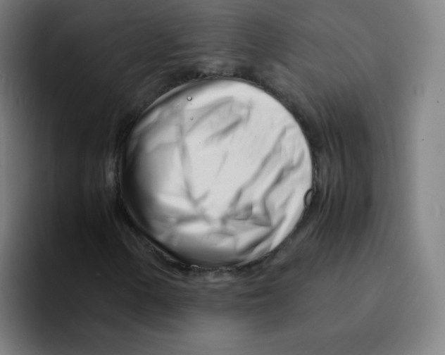 X0000094931154200712271547
