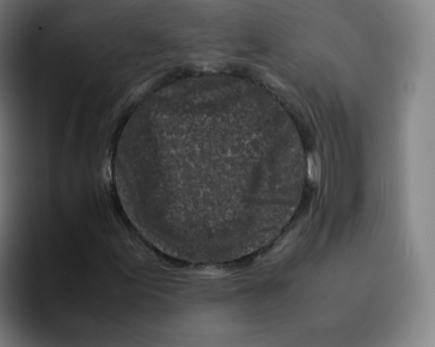 X0000094931155200712271547