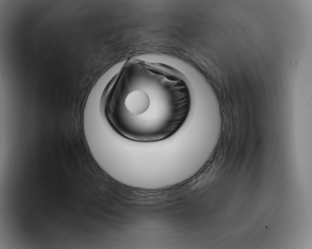 X0000094931156200712271547