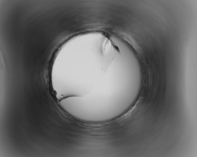 X0000094931164200712271547