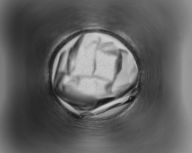 X0000094931167200712271547