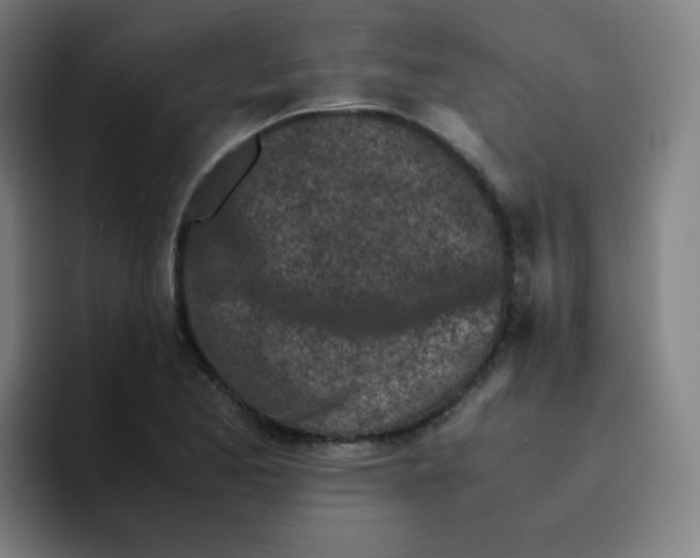 X0000094931173200712271547
