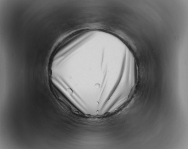 X0000094931176200712271547