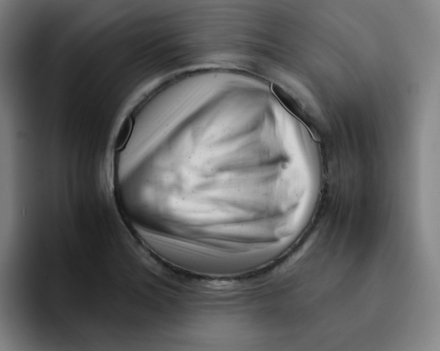 X0000094931180200712271547