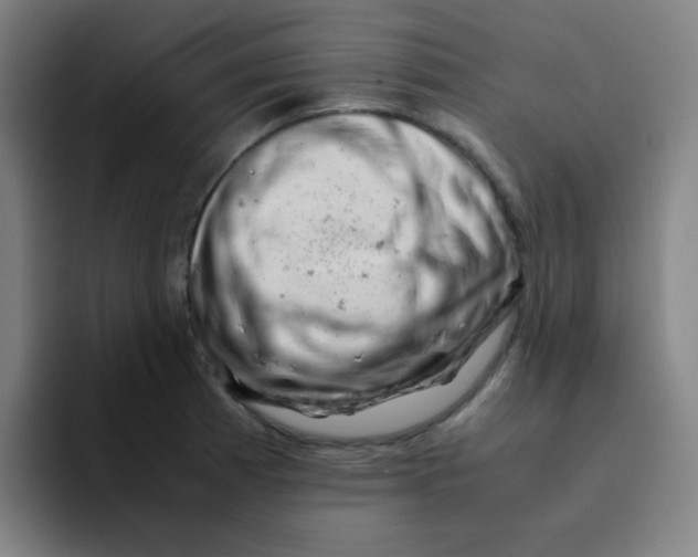 X0000094931185200712271546