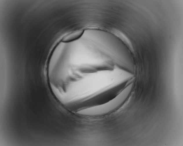 X0000094931190200712271546